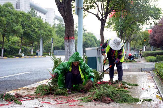 美化树穴扮靓街景枣庄薛城民威客电竞生路树穴换“新装”(图1)