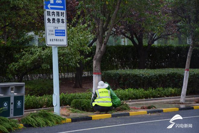 美化树穴扮靓街景枣庄薛城民威客电竞生路树穴换“新装”(图2)