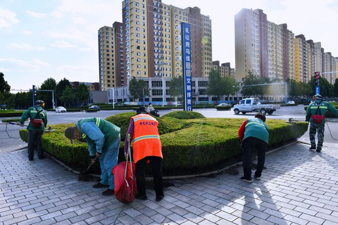 威客电竞寿光园林建设集团：精细化修剪 提升城市“颜值”(图3)