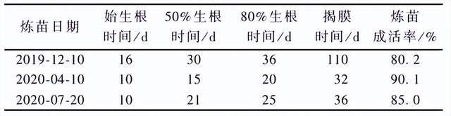 威客电竞南天竹新品种湾流的组培苗炼苗及盆栽技术(图1)