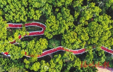 威客电竞市园林中心：绘就“只此青绿”厚植生态底色(图1)