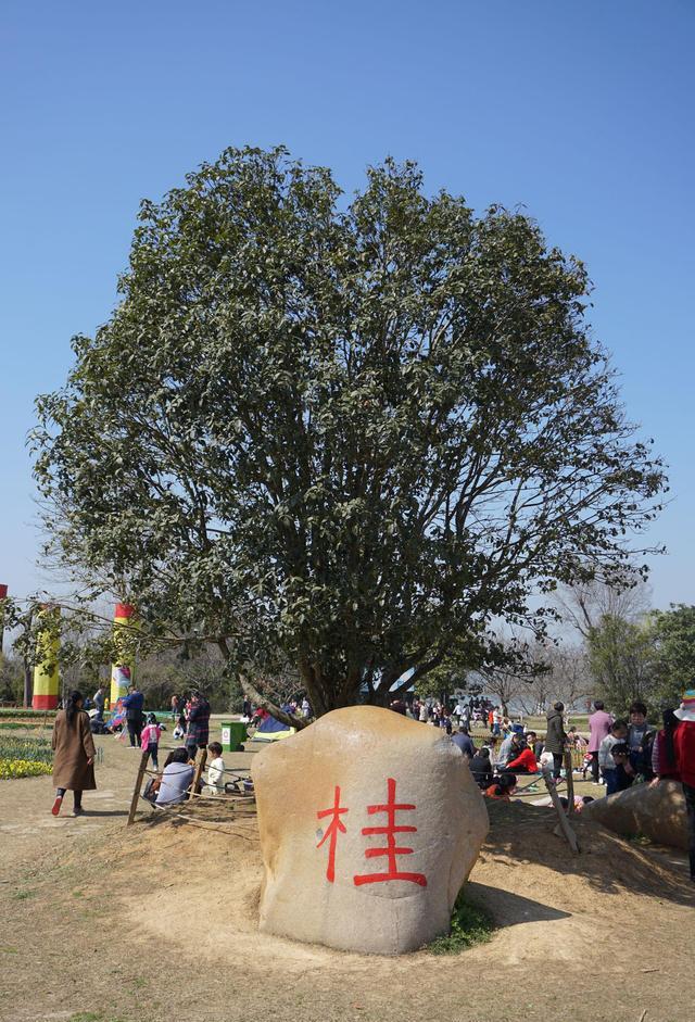 威客电竞好树进宅富贵自然来！老祖宗留下的“致富经”有道理(图8)