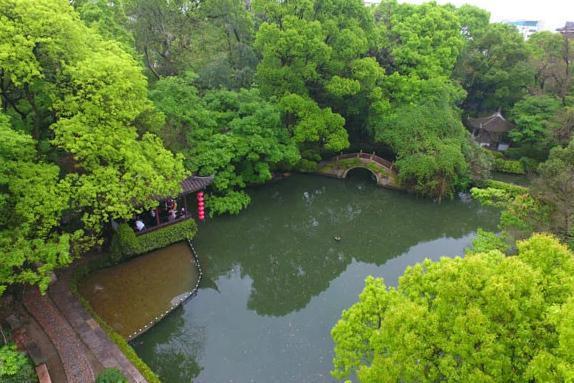 藏在浙江威客电竞的私家园林建于清朝占地1万平方米古树多达四十棵(图5)