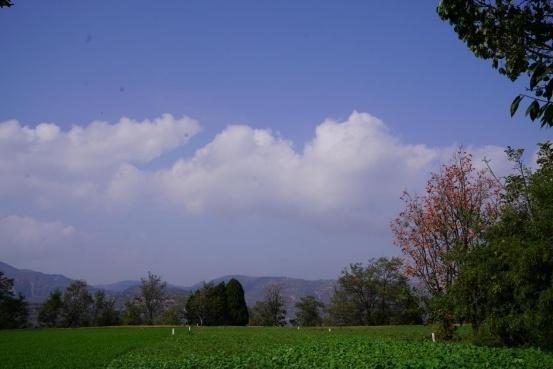 威客电竞西安临潼区：乡村“盆景” 连片成风景(图1)