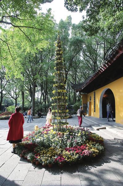 威客电竞特色盆景菊绽放虎丘菊花艺术展 “虎丘奇妙夜”让菊影流光溢彩(图1)