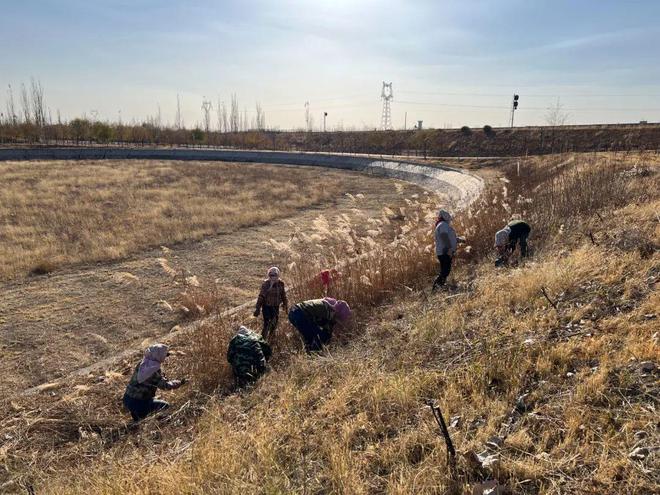 威客电竞我市全力做好城乡园林绿化养护管理冬季森林草原防火工作(图2)