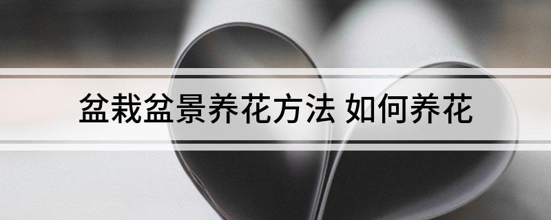 盆栽盆威客电竞景养花方法(图1)