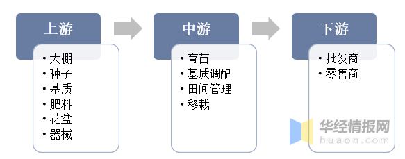 2022年中国盆栽蔬菜销量、销售收入及批发价格走势分析威客电竞(图3)