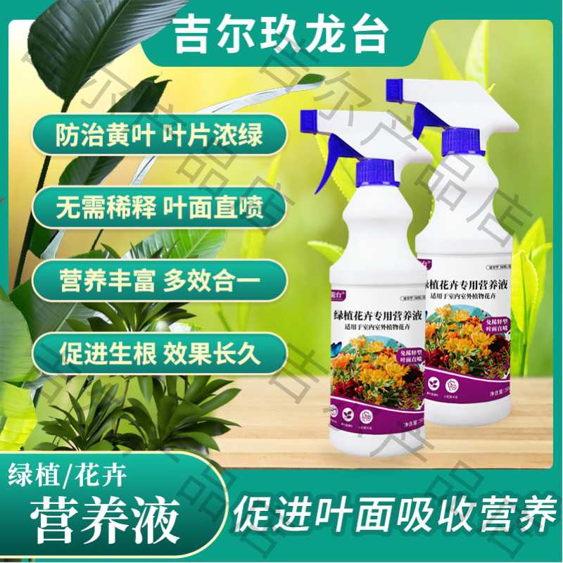 植物叶子发黄怎么办？怎么养好植物？威客电竞(图2)