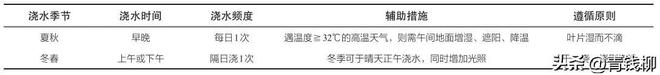 丰花威客电竞月季新品种——‘深圳红’的栽培管理及园林应用(图1)