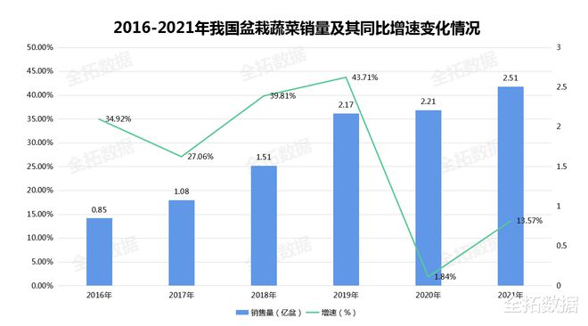 把蔬菜种进花盆里盆威客电竞栽蔬菜种植方式兴起城镇居民也能实现自由(图3)