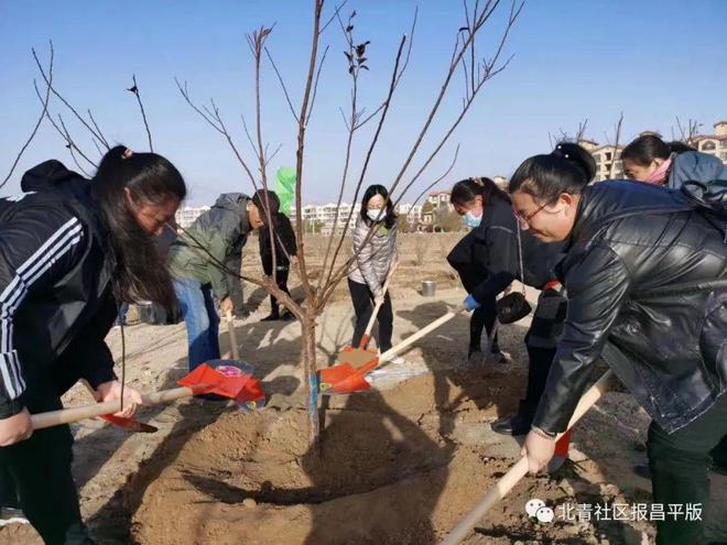 让绿色成为群众幸福“底色”~2023年昌平园威客电竞林这样做→(图6)