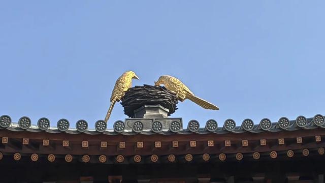 威客电竞宝山寺关闭三年的园林开放啦(图5)