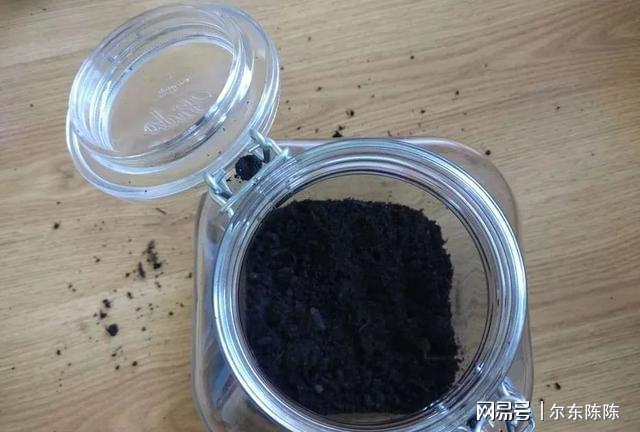 威客电竞很普通的植物种在玻璃容器之后变成园艺店的精品盆栽(图6)