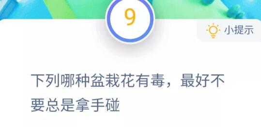 下列哪种盆栽花有毒最好不要总是拿手碰？含羞草还是夜来香威客电竞(图1)