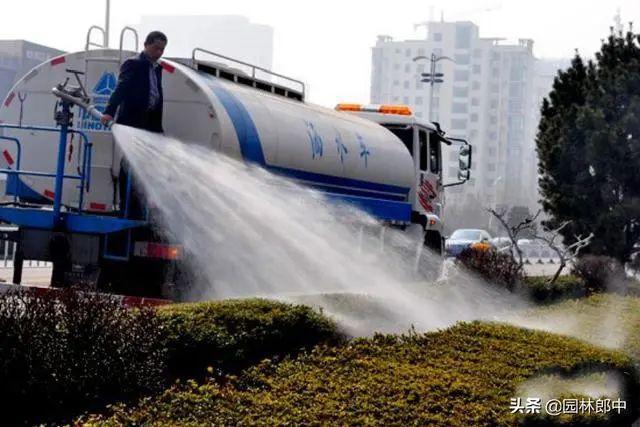 威客电竞园林植物浇灌返青水这5个误区千万要避开不然浇了也白浇！(图7)