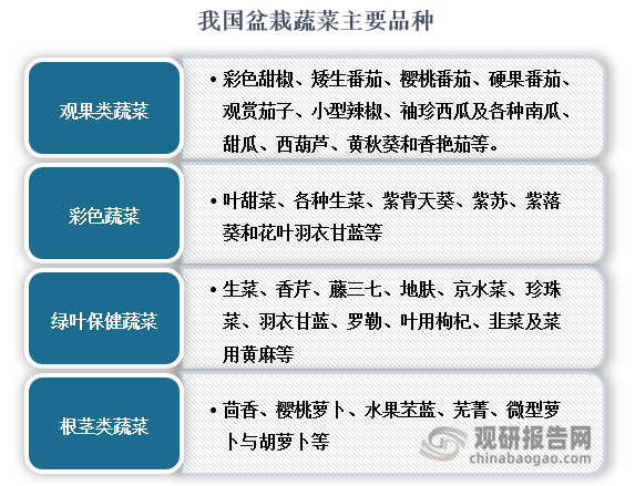 我国盆栽威客电竞蔬菜认可度提高 行业有望迎来第一股 市场规模将持续增长(图2)