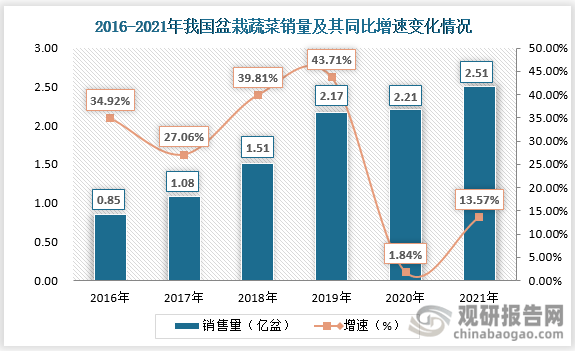 我国盆栽威客电竞蔬菜认可度提高 行业有望迎来第一股 市场规模将持续增长(图4)