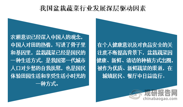 我国盆栽威客电竞蔬菜认可度提高 行业有望迎来第一股 市场规模将持续增长(图9)