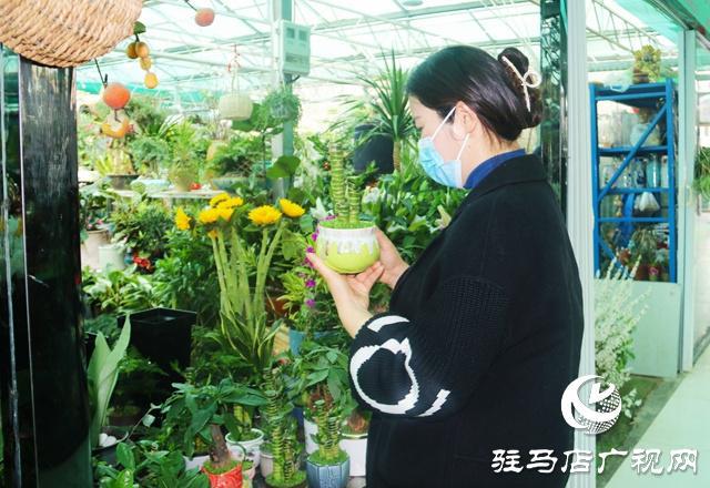 春暖花开添新绿 花卉威客电竞市场人气旺(图6)