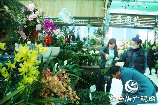 春暖花开添新绿 花卉威客电竞市场人气旺(图4)