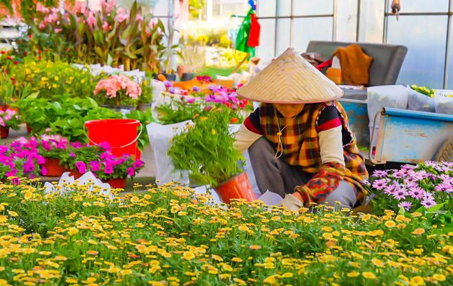 威客电竞花木市场春意浓时令鲜花走俏(图1)