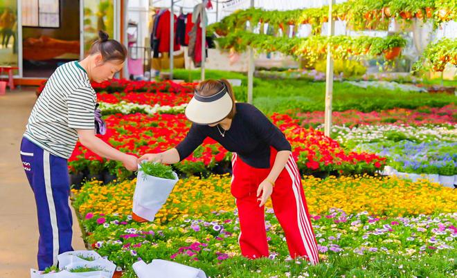 威客电竞花木市场春意浓时令鲜花走俏(图2)