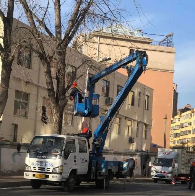 文明实践丨不负春日好时光威客电竞园林绿化修剪忙(图2)