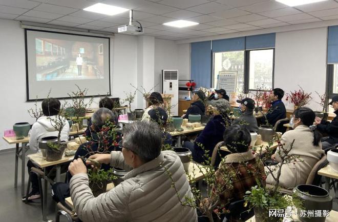 威客电竞苏州朗科社区开展手植海棠花盆景活动(图4)