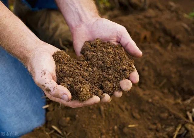 威客电竞盆栽作物养土保水的好方法简单实用不用花钱买土买肥(图3)