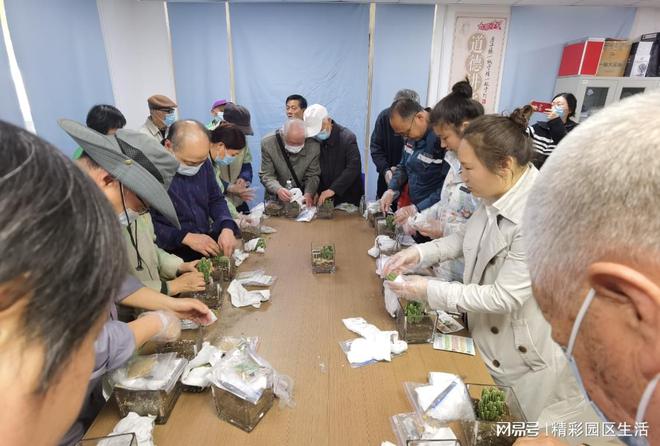 活力植威客电竞树节 绿植领养在行动(图1)