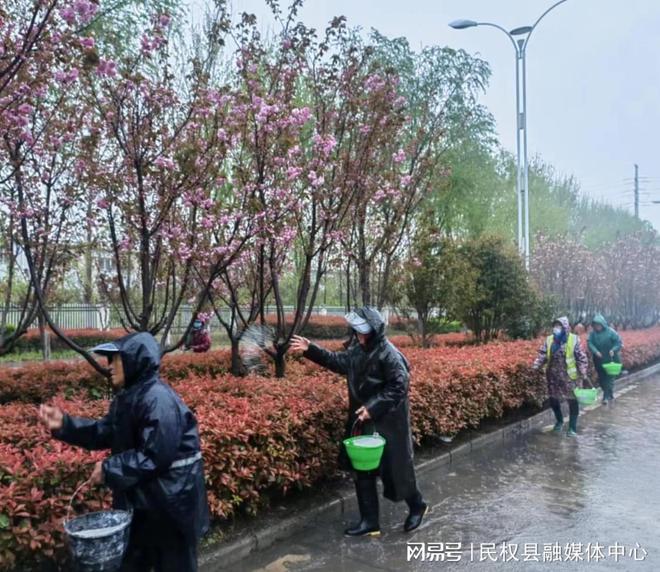 威客电竞民权园林绿化中心集中开展绿化苗木“借雨施肥”活动(图1)