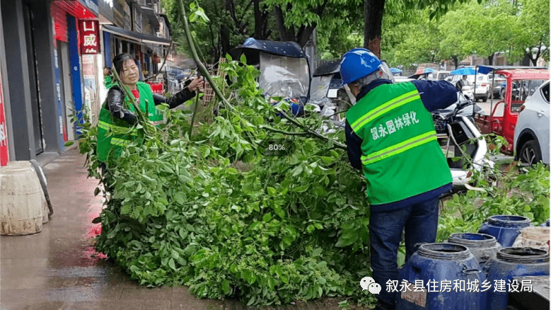 园林绿化威客电竞中心快速应对极端天气保障居民安全出行(图1)