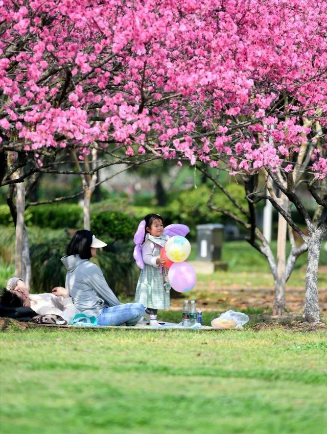 威客电竞武汉官宣：这些地方不再禁止！(图1)