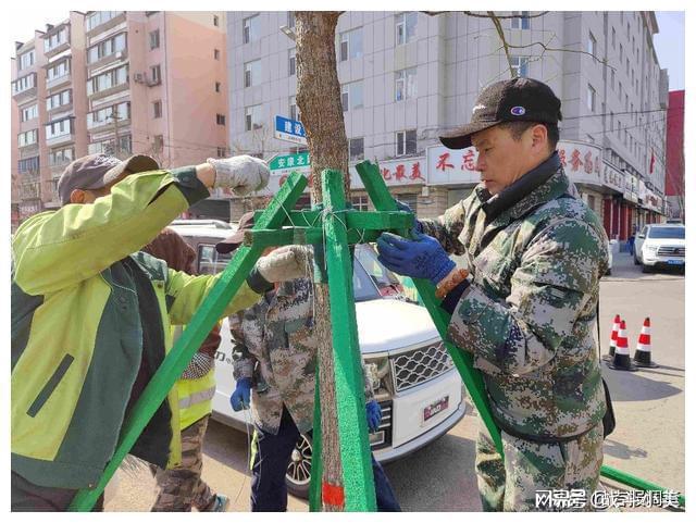 威客电竞通化抢抓春季绿化“黄金期”稳步推进城区园林绿化工作(图3)