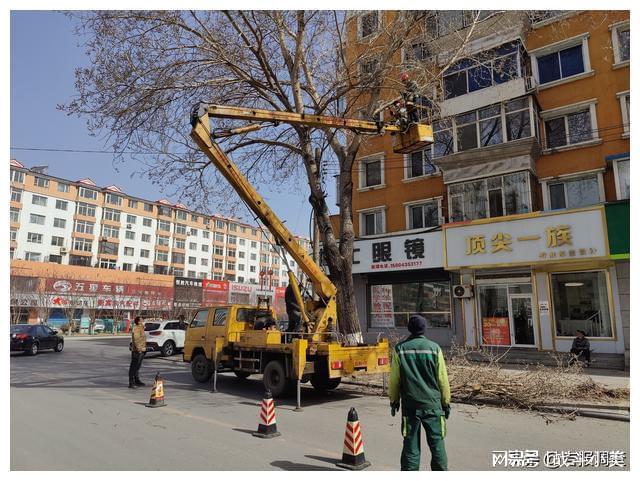 威客电竞通化抢抓春季绿化“黄金期”稳步推进城区园林绿化工作(图4)