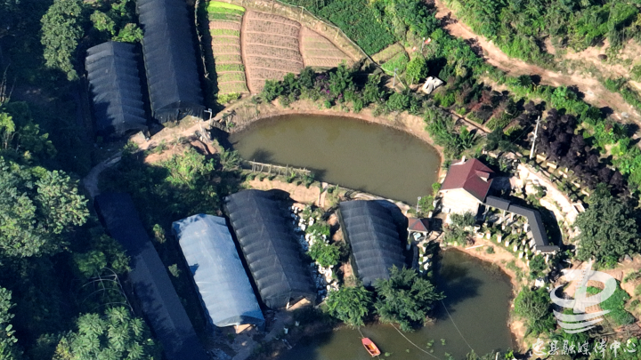 为美丽忠县建设赋能！这家本土企业园林绿化产品畅销市场威客电竞(图1)