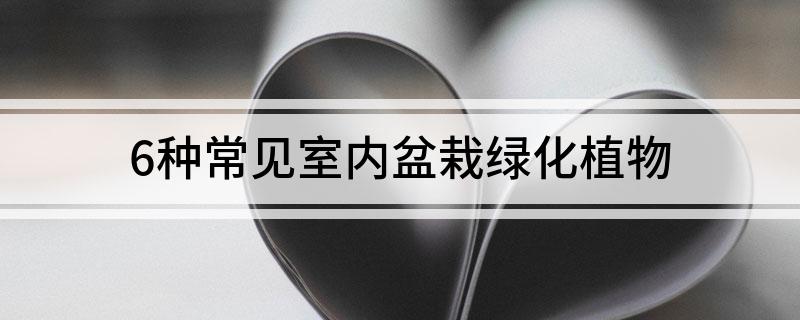 威客电竞6种常见室内盆栽绿化植物(图1)