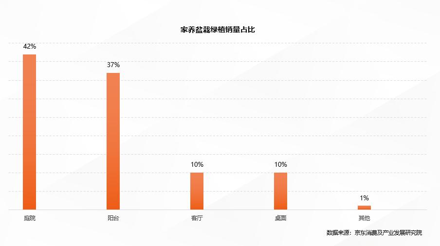 春季“威客电竞城市绿趣”消费猛增 白领最爱买盆栽绿植(图2)