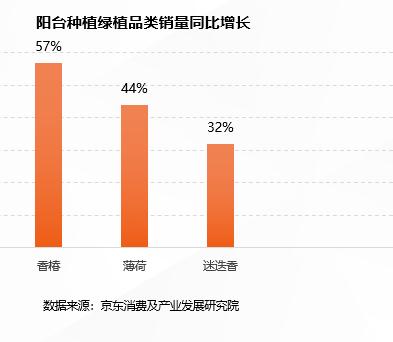 春季“威客电竞城市绿趣”消费猛增 白领最爱买盆栽绿植(图4)