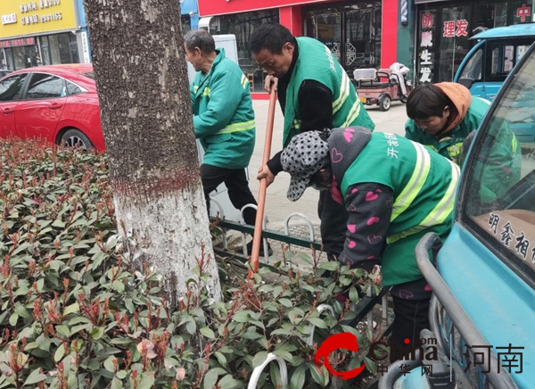 威客电竞驻马店开发区城市管理局全面开展春季园林绿化补植行动(图3)