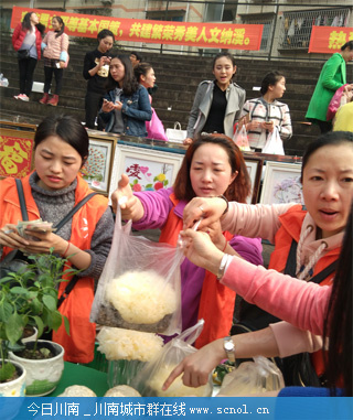 威客电竞蔬菜盆栽 助力脱龙车农村妇女贫致富(图1)