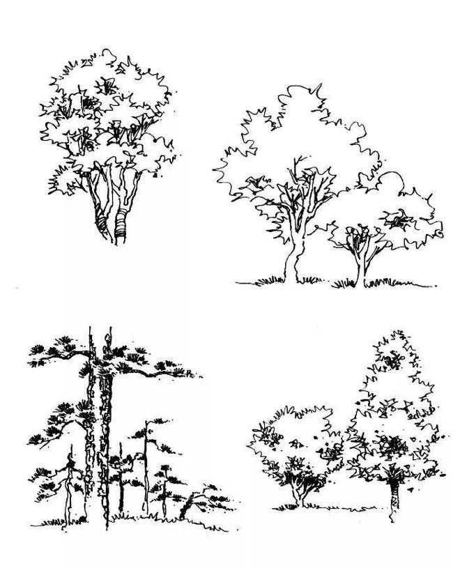 一组手绘植物训练20威客电竞0例︱艺术名画(图1)