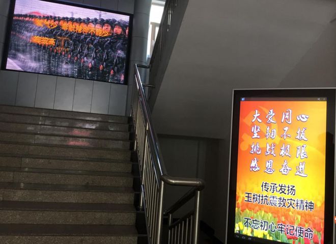 震后8年玉树换新颜：藏族民众爱上橄威客电竞榄绿 高原格桑之花绽放如初(图2)