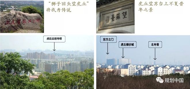 苏威客电竞州城市设计大揭秘惊艳全城(图12)