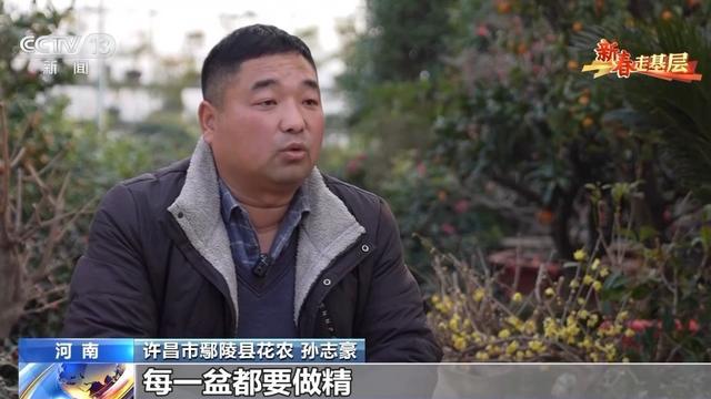 蜡梅有了“经纪人” 不仅网上攒足人气威客电竞更能“香”飘全国(图2)