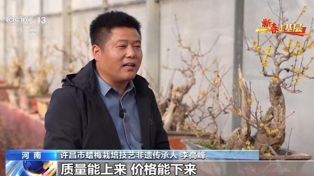 蜡梅有了“经纪人” 不仅网上攒足人气威客电竞更能“香”飘全国(图4)