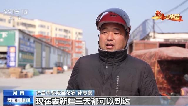 蜡梅有了“经纪人” 不仅网上攒足人气威客电竞更能“香”飘全国(图6)