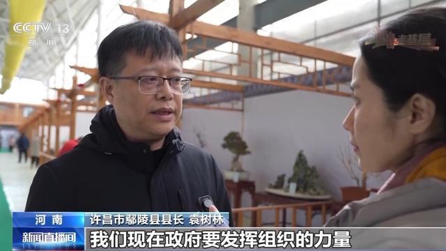 蜡梅有了“经纪人” 不仅网上攒足人气威客电竞更能“香”飘全国(图9)