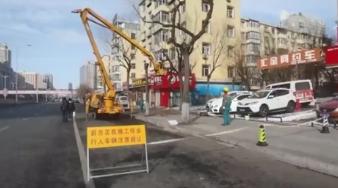 绿化街路景观和公园环境迎“五一威客电竞”！哈市启动园林绿化“春整”(图1)